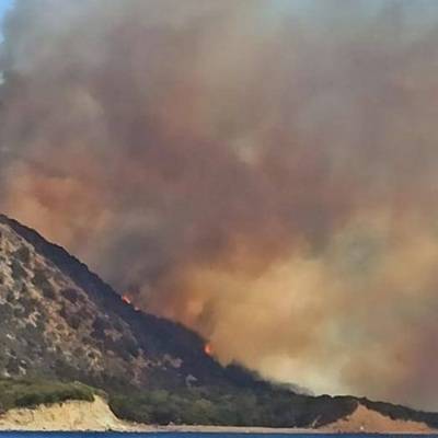 Полиция возбудила уголовное дело из-за лесного пожара в поселке Большой Утриш в Анапе