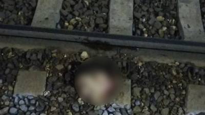 Отжимался на рельсах: поезд отрезал голову на станции Ярославля