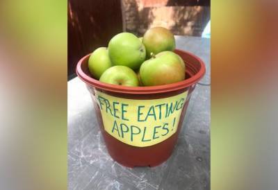 Медсестру оштрафовали в Великобритании за раздачу яблок