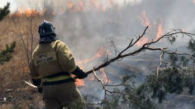Губернатор Краснодарского края вылетел на место лесных пожаров в Анапе