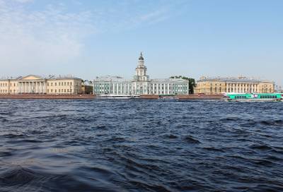 В Петербурге проконтролировали ввоз 177,5 тонн конины