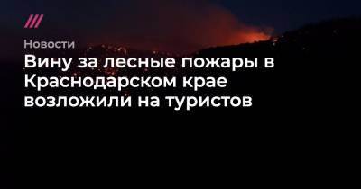 Вину за лесные пожары в Краснодарском крае возложили на туристов