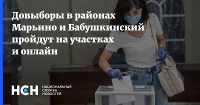 Довыборы в районах Марьино и Бабушкинский пройдут на участках и онлайн