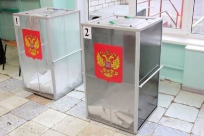 Довыборы в Москве пройдут согласно новейшим электоральным трендам
