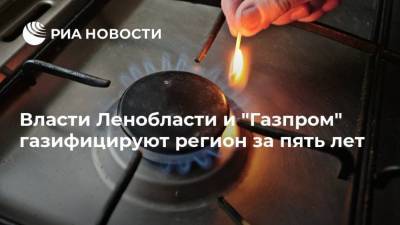 Власти Ленобласти и "Газпром" газифицируют регион за пять лет