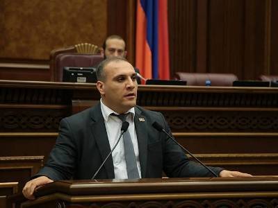 «Светлая Армения» выступает за открытую пропорциональную избирательную систему