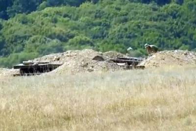 ВСУ заняли новые позиции в серой зоне на Донбассе, видео