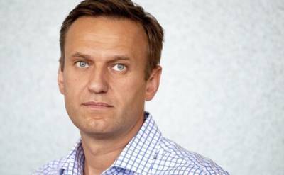 Володин поручил комитету ГД по безопасности проанализировать инцидент с Навальным