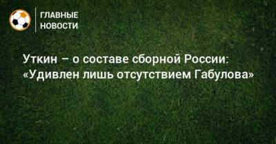 Уткин – о составе сборной России: «Удивлен лишь отсутствием Габулова»