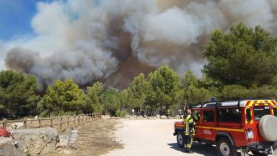 В Калифорнии и Франции не утихают лесные пожары