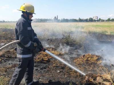 В Херсонской области произошел крупный пожар: сгорело 10 гектаров степи за сутки