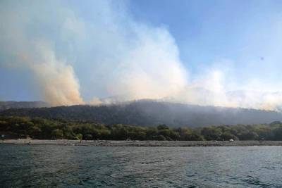 Очевидцы природного пожара в Анапе пожаловались на бездействие сотрудников МЧС