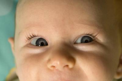 Медики назвали 5 продуктов, способных вернуть ребенку 100-процентное зрение