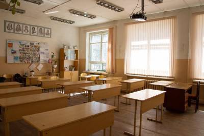 В российских школах запретили собирать деньги на термометры и санитайзеры