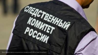 Видео с избиением школьницы толпой в Новомичуринске попало в Сеть