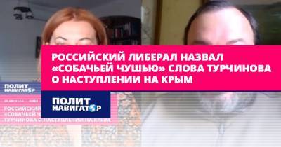 Российский либерал назвал «собачьей чушью» слова Турчинова о...