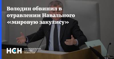 Володин обвинил в отравлении Навального «мировую закулису»