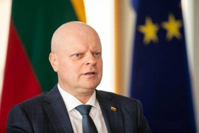 Премьер Литвы: Нам не стоит паниковать из-за событий в Белоруссии