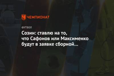 Созин: ставлю на то, что Сафонов или Максименко будут в заявке сборной на чемпионат Европы