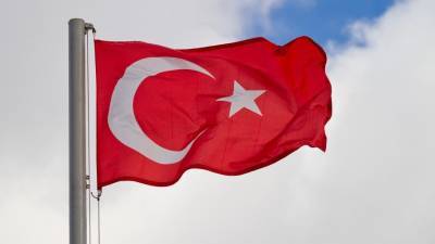 Турция понадеялась на сотрудничество с РФ после обнаружения газа в Черном море