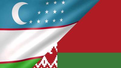 Белорусское продовольствие пользуется спросом на рынке Узбекистана