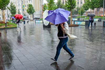 МЧС предупредило жителей Подмосковья о дожде с грозой и сильном ветре