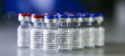 Академик РАН описал возможные ощущения после вакцинации от коронавируса