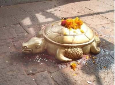 В Индии редкую золотую черепаху считают реинкарнацией бога – Cursorinfo: главные новости Израиля