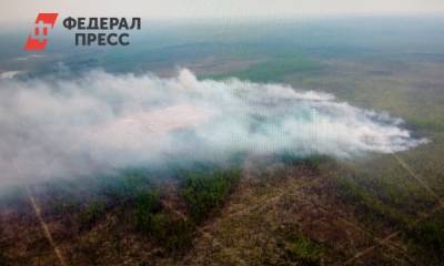 20 населенных пунктов Иркутской области задымлены из-за лесных пожаров