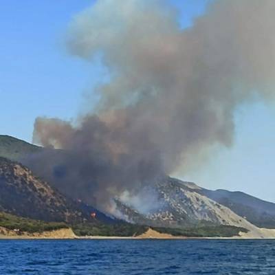 Пожар в районе заповедника "Утриш" продолжают тушить 500 человек