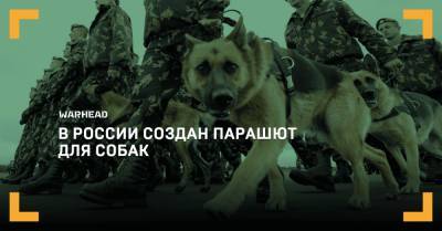 В России создан парашют для собак