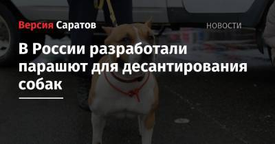В России разработали парашют для десантирования собак