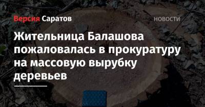 Жительница Балашова пожаловалась в прокуратуру на массовую вырубку деревьев