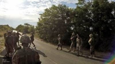 Боевика радикальной группировки ликвидировали в ингушском лесу