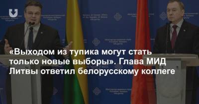 «Выходом из тупика могут стать только новые выборы». Глава МИД Литвы ответил белорусскому коллеге