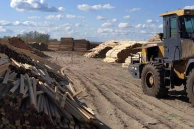 Иркутяне незаконно вывезли леса в Китай почти на 900 млн рублей
