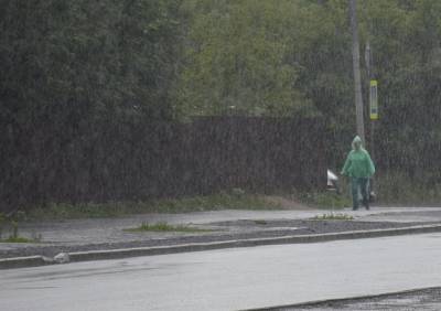 Рязанскую область вновь накроют дожди и грозы