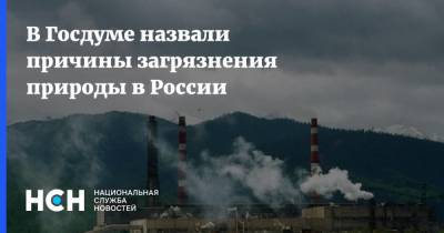 В Госдуме назвали причины загрязнения природы в России