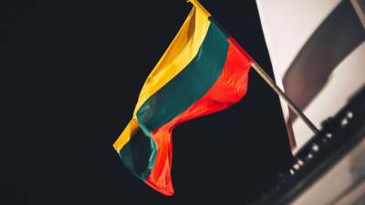 Литва единолично ввела санкции против Лукашенко