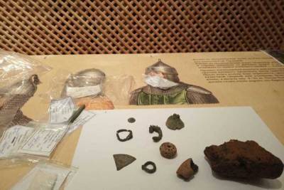 Археологи под Тулой нашли металлургическое производство железного века
