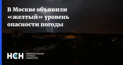 В Москве объявили «желтый» уровень опасности погоды