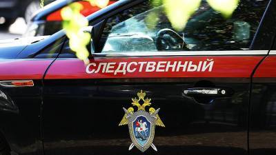 СК возбудил дело в отношении захватившего в заложники младенца на Ставрополье