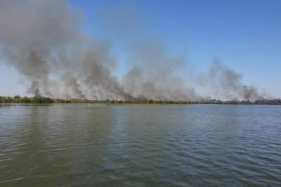 В Херсонской области почти сутки горел национальный парк: дым было видно издалека (фото, видео)