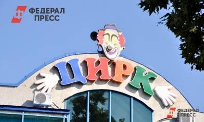 В России полноценный запуск цирков решили отложить