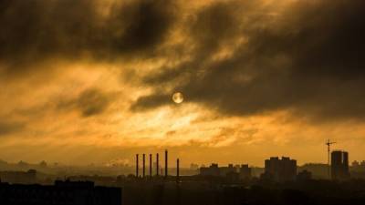 В Госдуме заметили связь между пандемией и очищением атмосферы