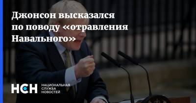 Джонсон высказался по поводу «отравления Навального»