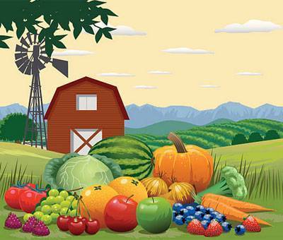 Виноград, арбуз, тыква: какие фрукты и овощи покупать на стыке лета и осени?