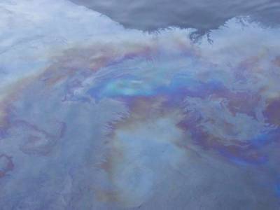 На Сахалине обнаружено крупное нефтяное пятно в заливе у объекта структуры «Роснефти»
