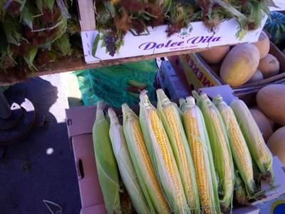 В августе в Киеве на рынках и в супермаркетах подешевела кукуруза