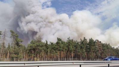 Крупный пожар в Воронежской области подобрался к заправке
